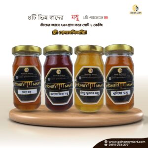 Student Budget friendly Mini 4Combo